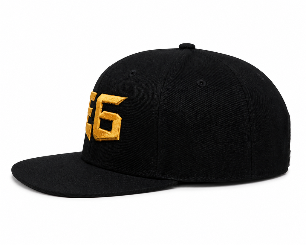 E6 flex fit hat