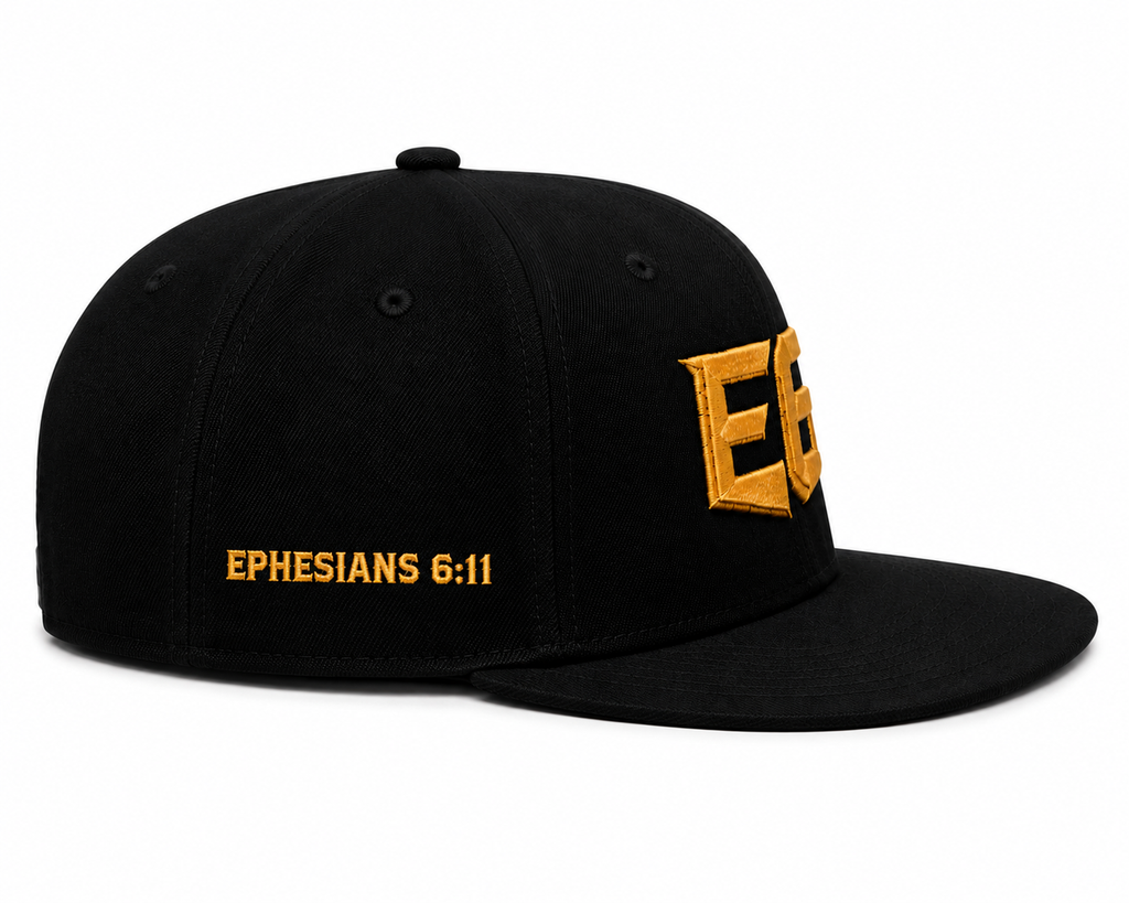 E6 flex fit hat